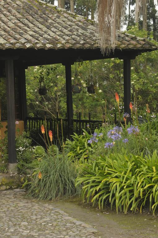 Bed and Breakfast Molino San Juan Каямбе Екстер'єр фото