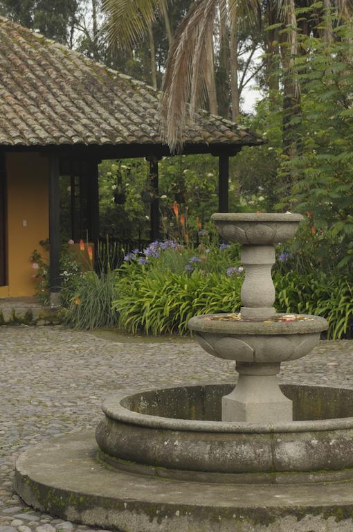 Bed and Breakfast Molino San Juan Каямбе Номер фото